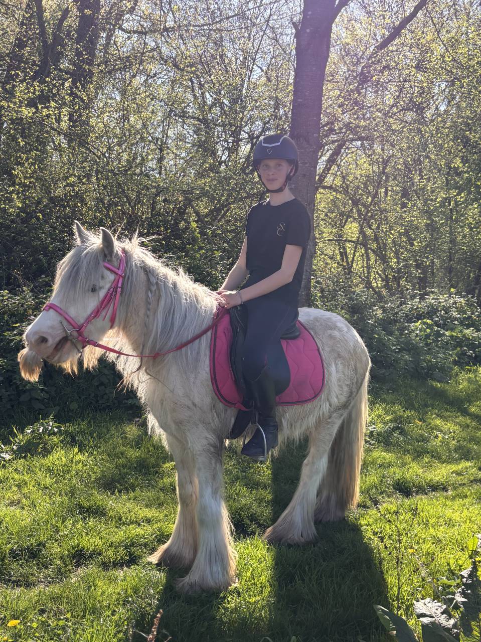 Poney 4 ans 130 cm type irish 
