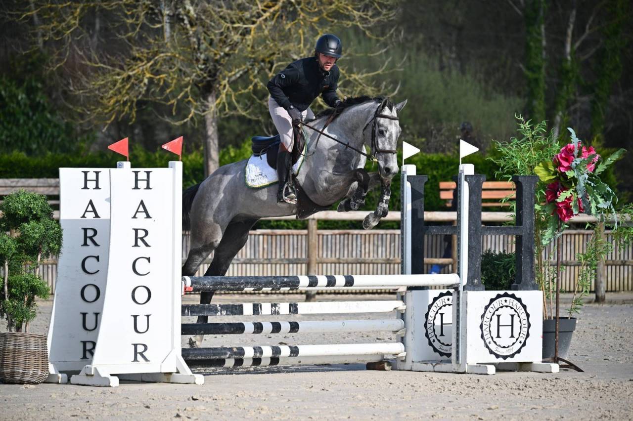 Top 4 ans Selle fran&ccedil;ais cso cce