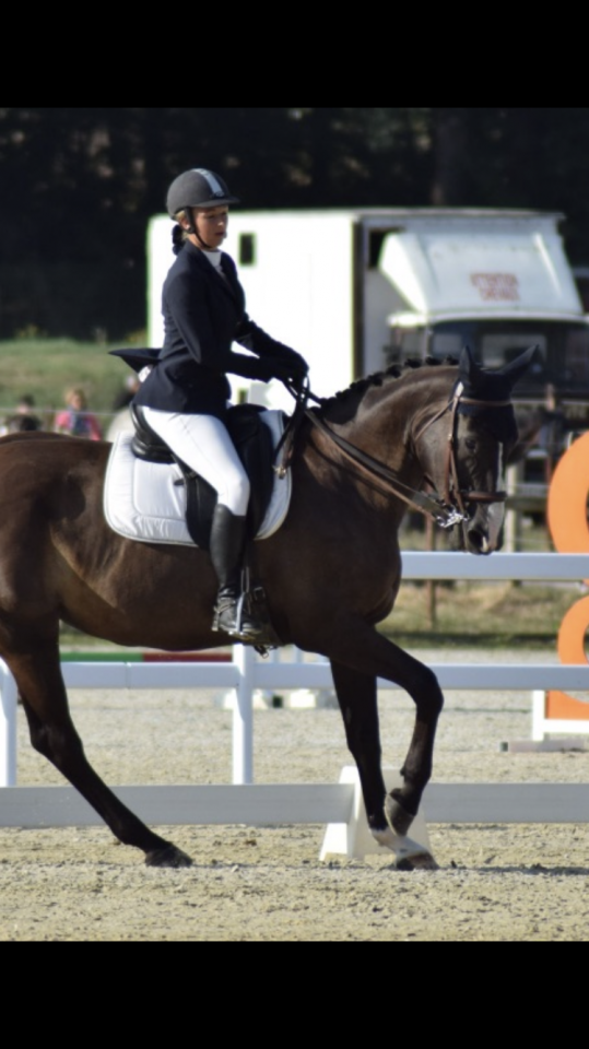 Jument 2010 