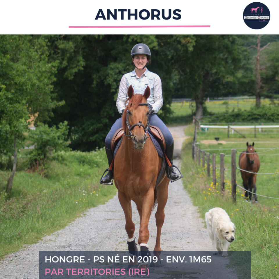 ANTHORUS - PS - 7 ANS 