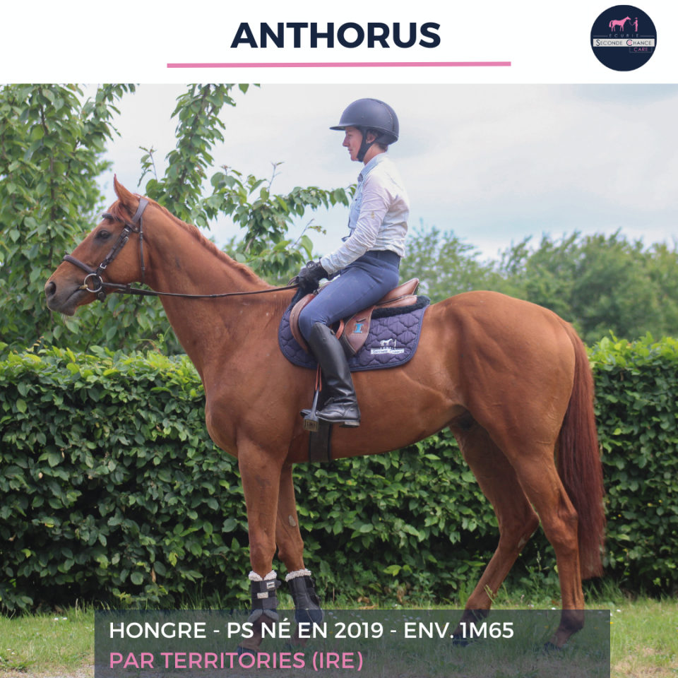 ANTHORUS - PS - 7 ANS 