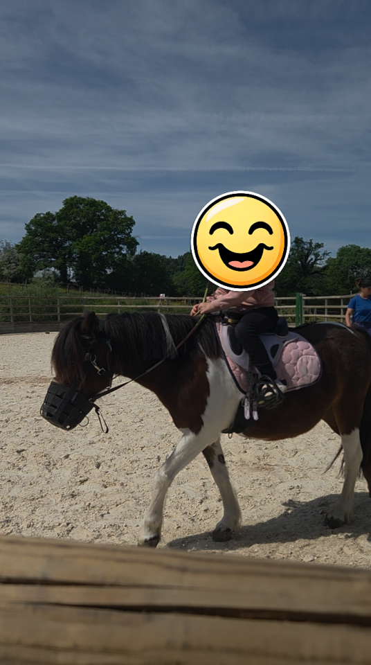 Top ponette Vaillante 