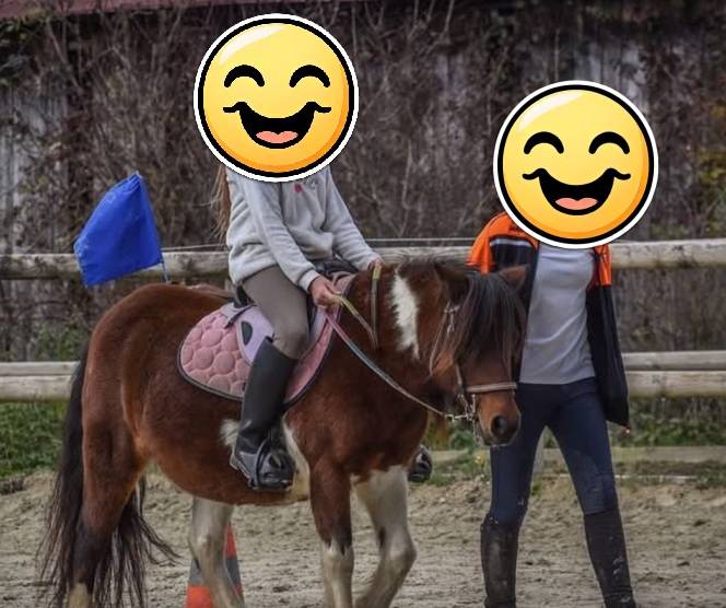 Top ponette Vaillante 