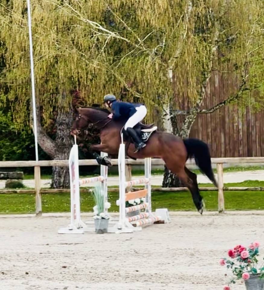 Looping du feugre 