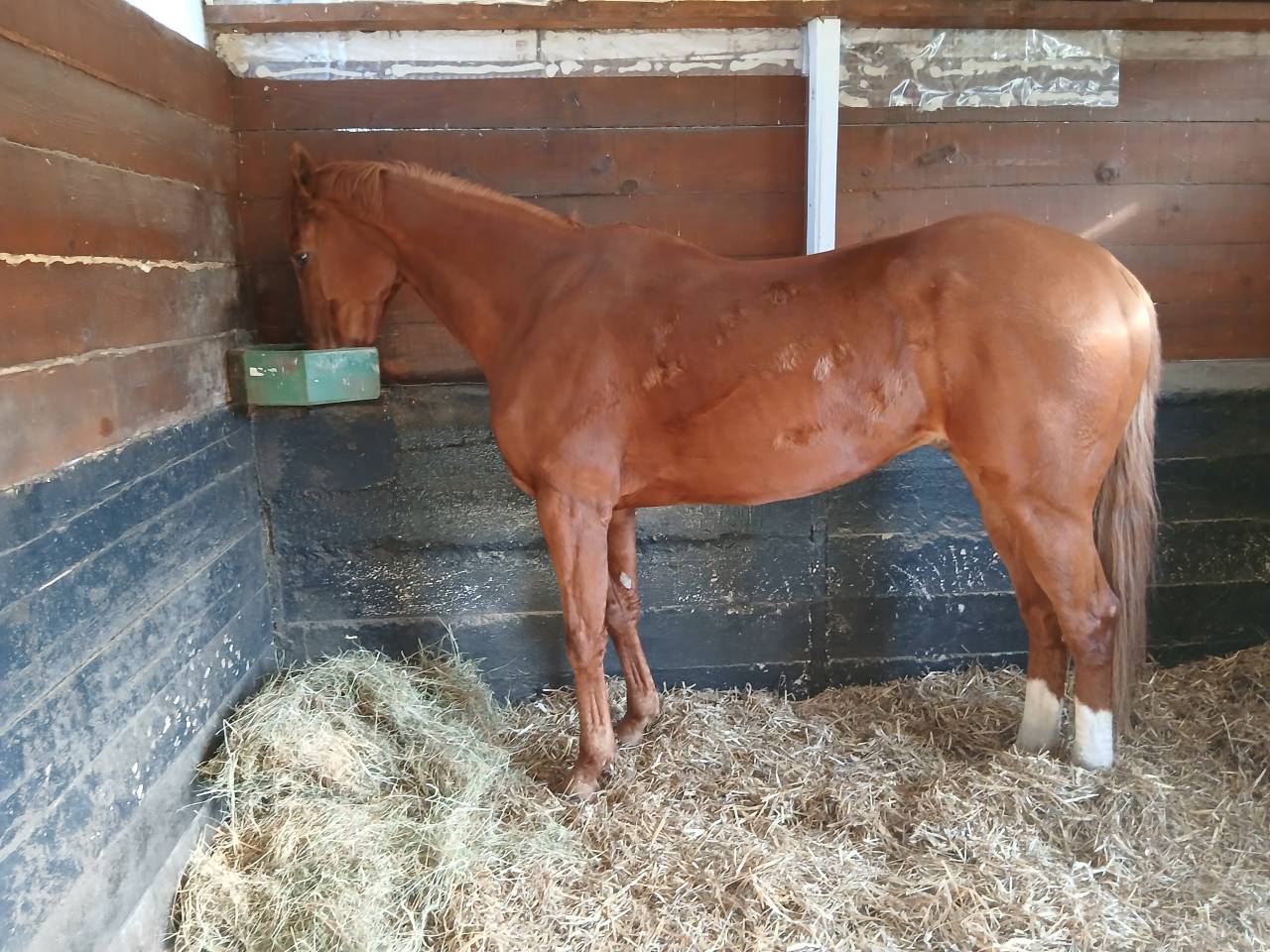 Boxes &agrave; louer 