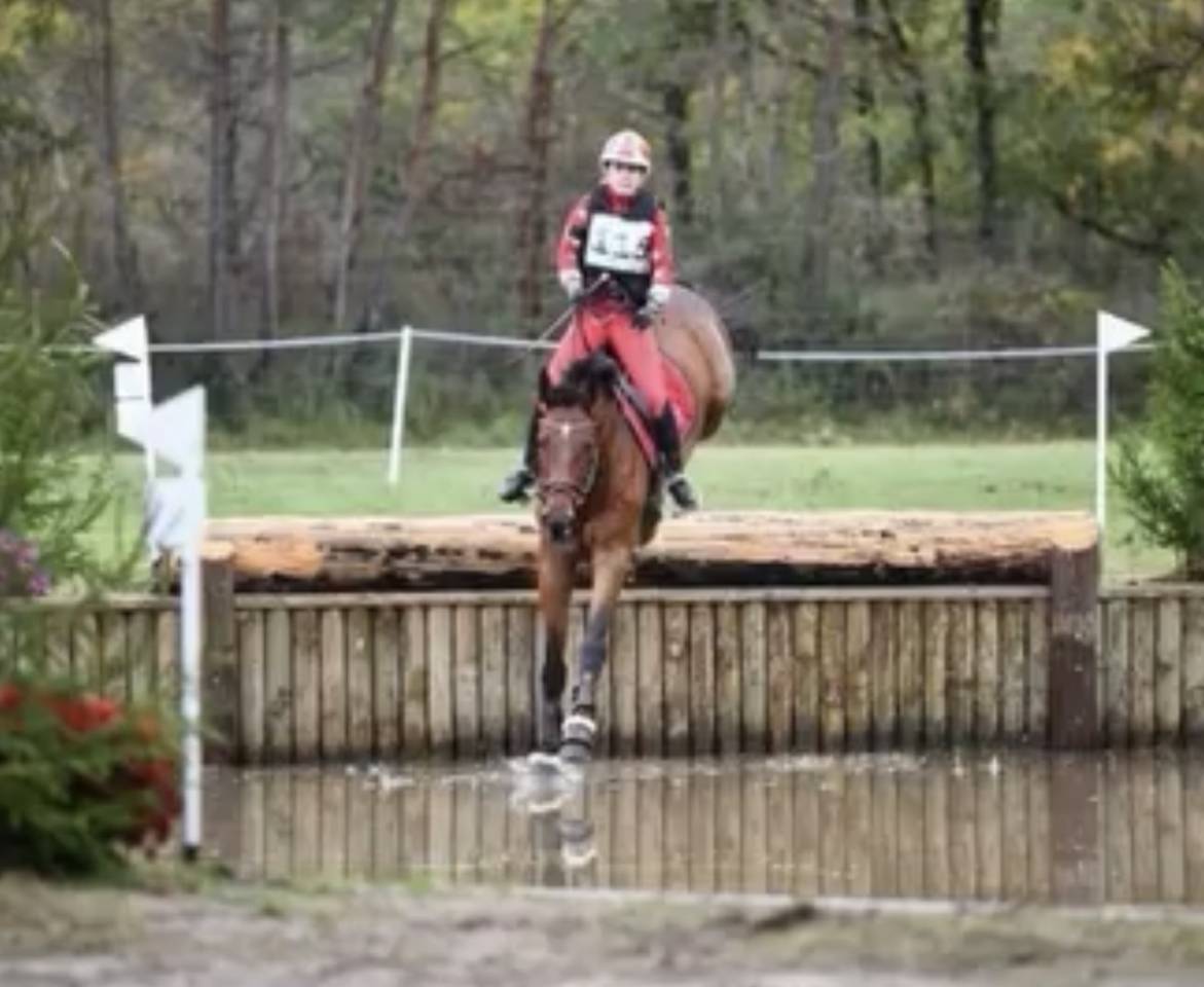 Cheval de sport pour CCE AMAT 1 / Elite 