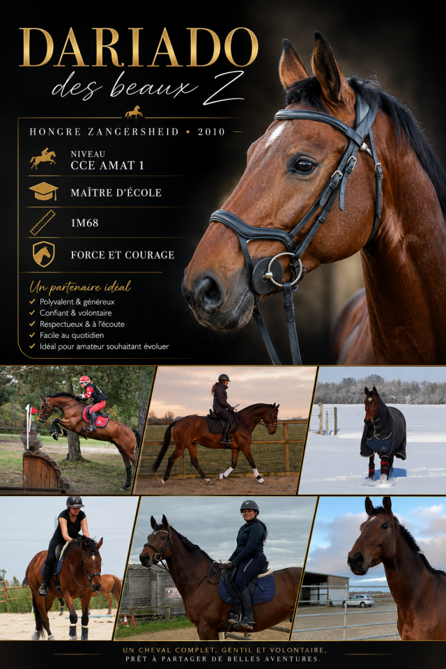 Cheval de sport pour CCE AMAT 1 / Elite 