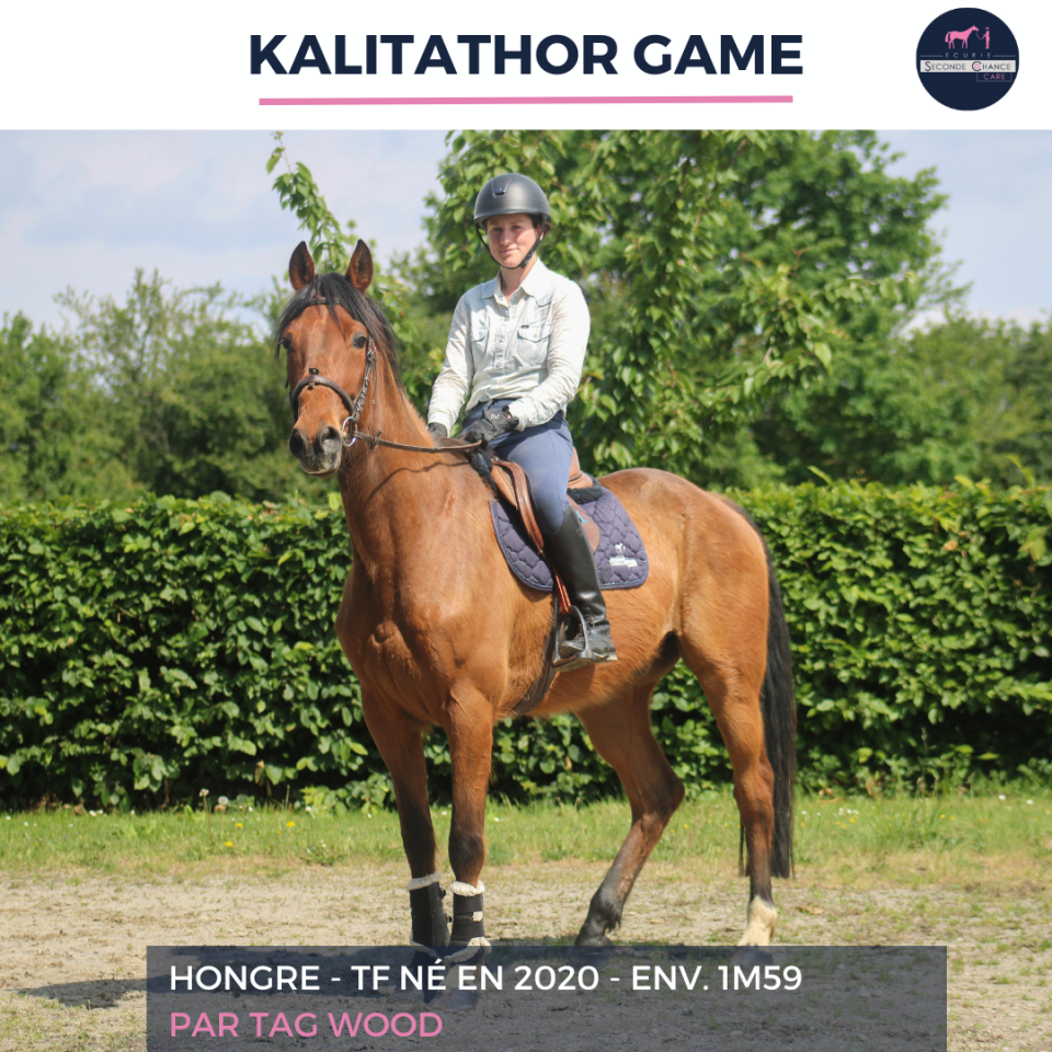 KALITATHOR GAME - TF - 6 ANS