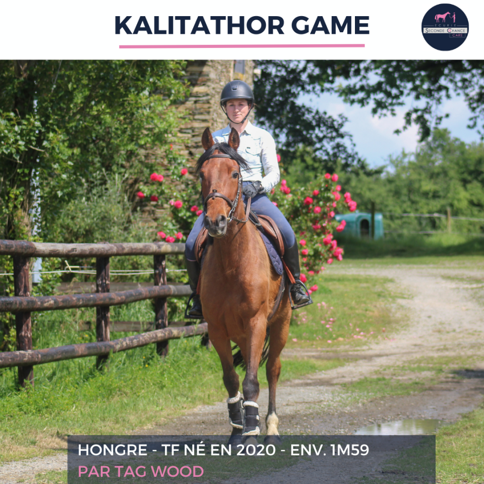 KALITATHOR GAME - TF - 6 ANS
