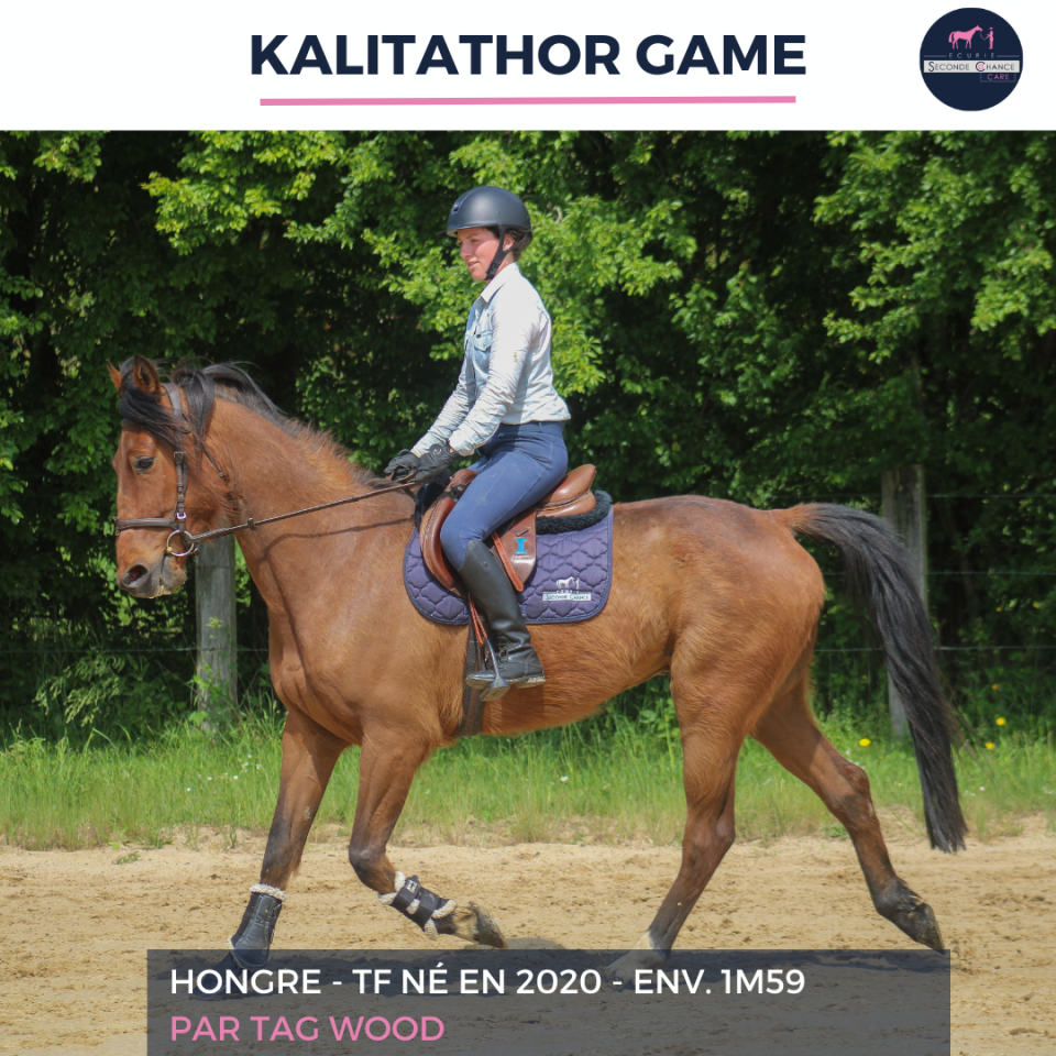 KALITATHOR GAME - TF - 6 ANS