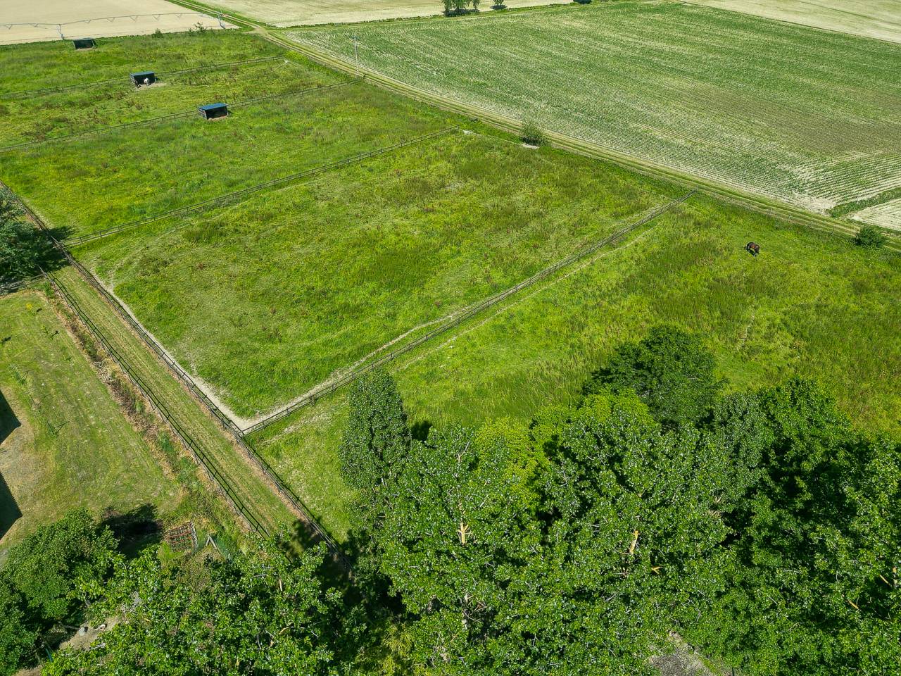 complexe &eacute;questre de 6ha5 avec multiple infrastructures