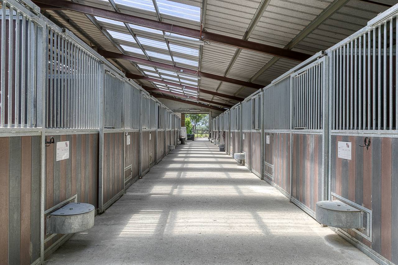complexe &eacute;questre de 6ha5 avec multiple infrastructures
