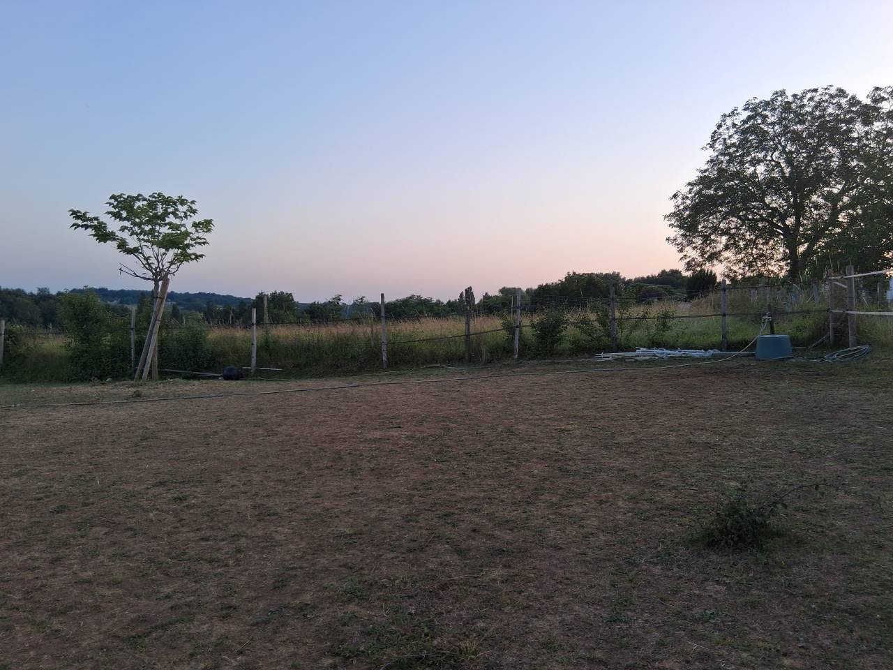 1001949_1778171502_2355.jpg