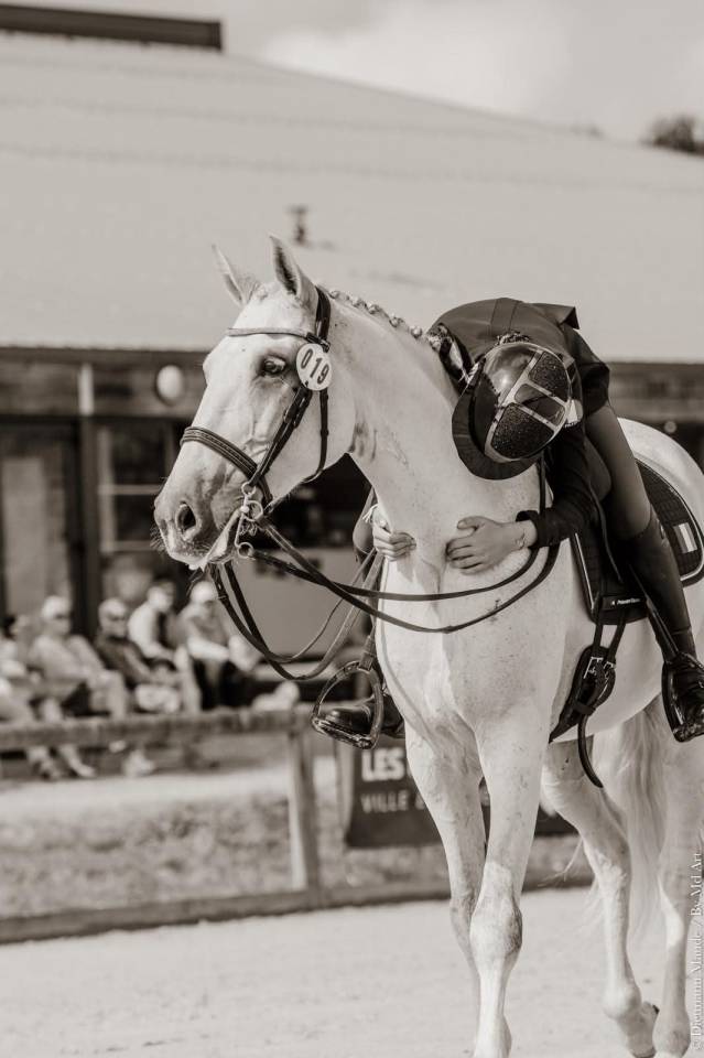 Hongre - Lusitanien - 14 ans - Dressage PSG - France