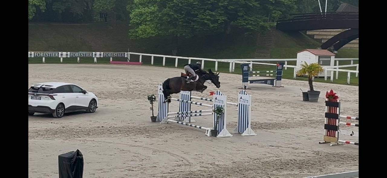 Jument 7ans par Casall 