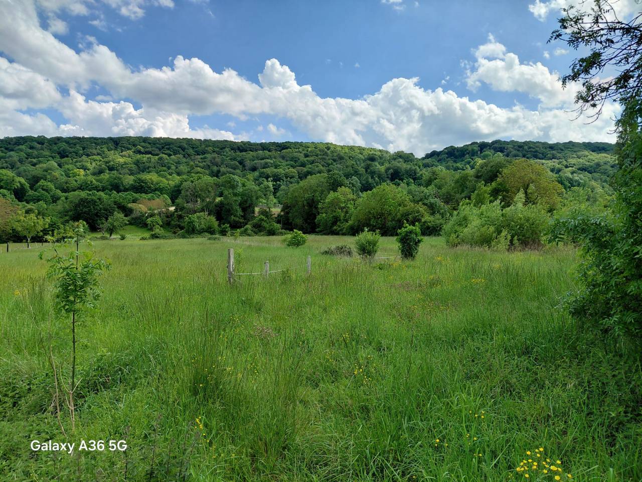 PROPRI&Eacute;T&Eacute; &Eacute;QUESTRE:MAISON+G&Icirc;TE 18 000&euro;/AN+1,7HA+PISCINE