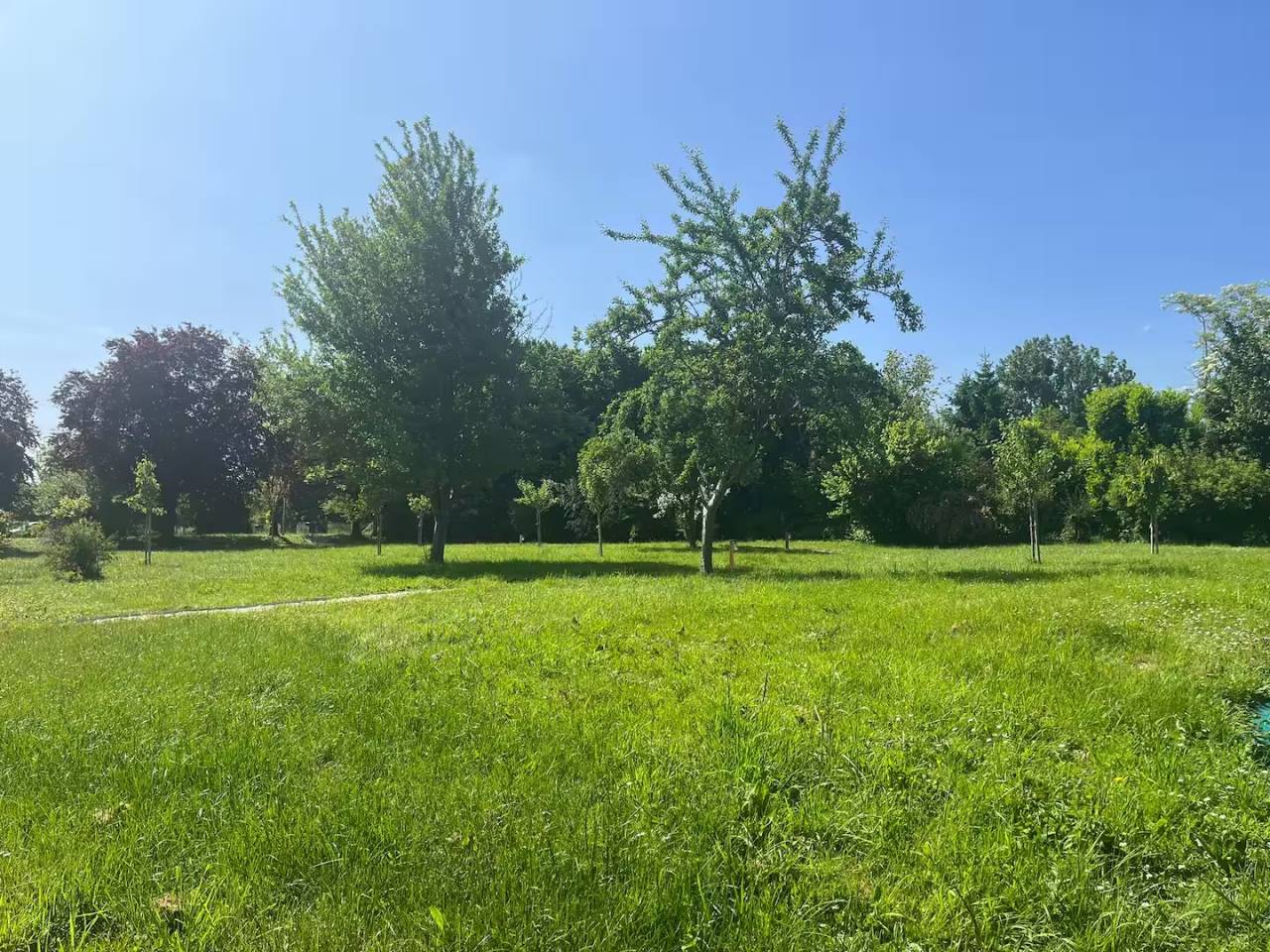 PROPRI&Eacute;T&Eacute; &Eacute;QUESTRE:MAISON+G&Icirc;TE 18 000&euro;/AN+1,7HA+PISCINE