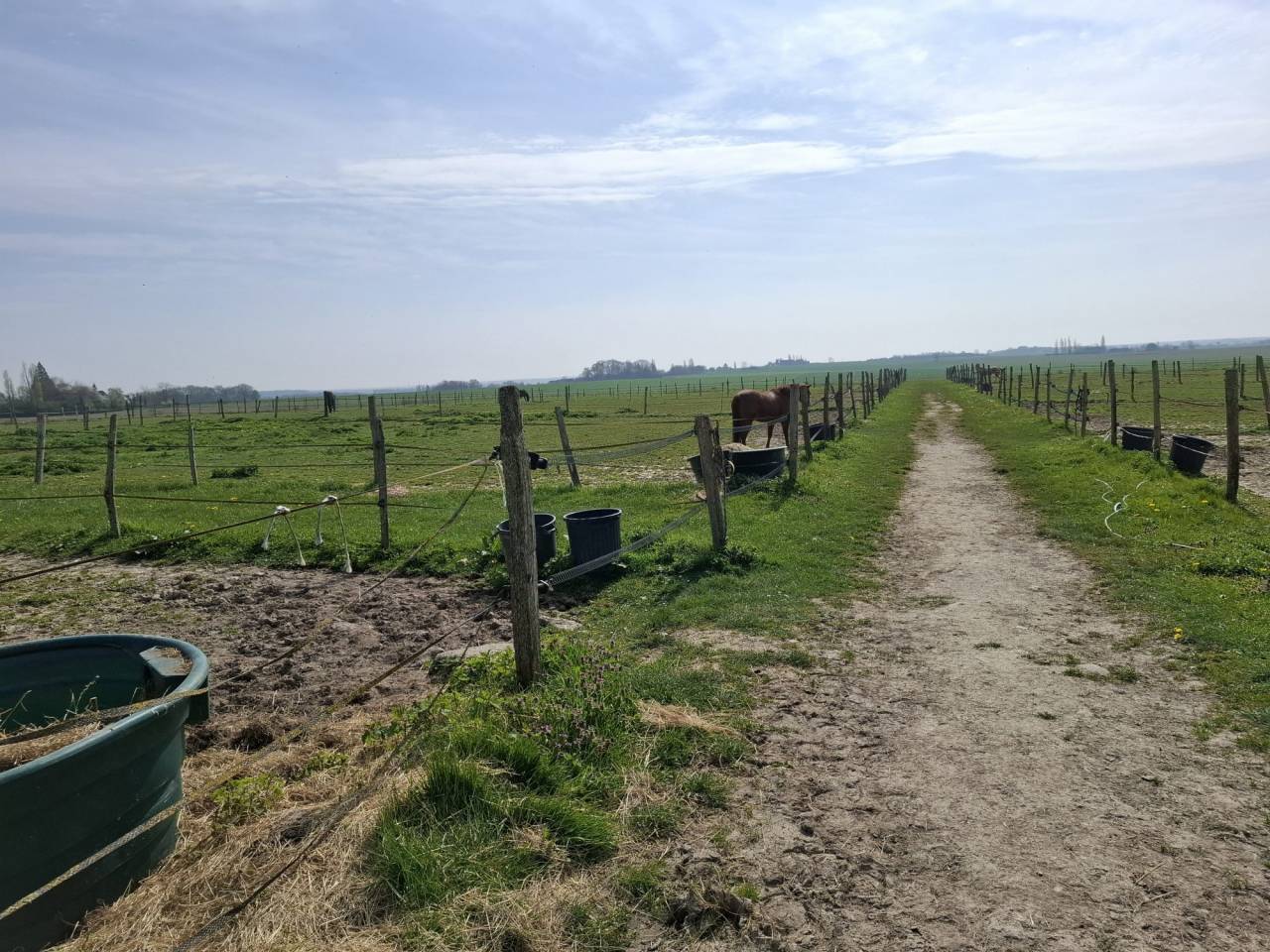 ? Propri&eacute;t&eacute; &eacute;questre de caract&egrave;re  Domaine de plus de
