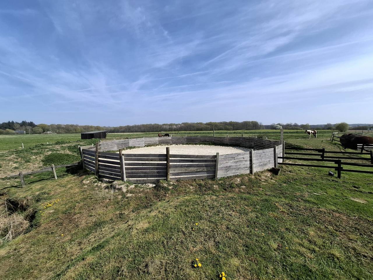 ? Propri&eacute;t&eacute; &eacute;questre de caract&egrave;re  Domaine de plus de