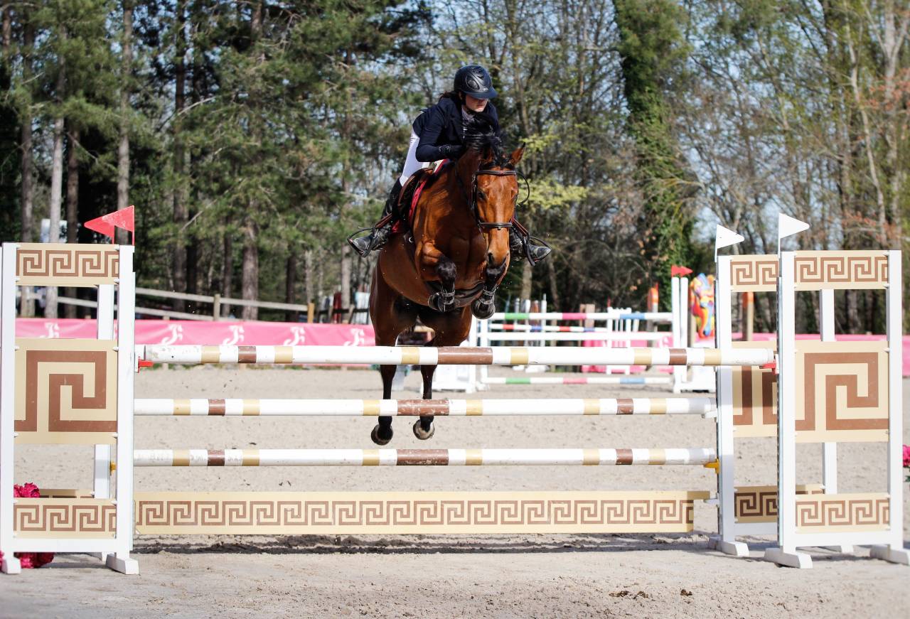 Jument de CSO 