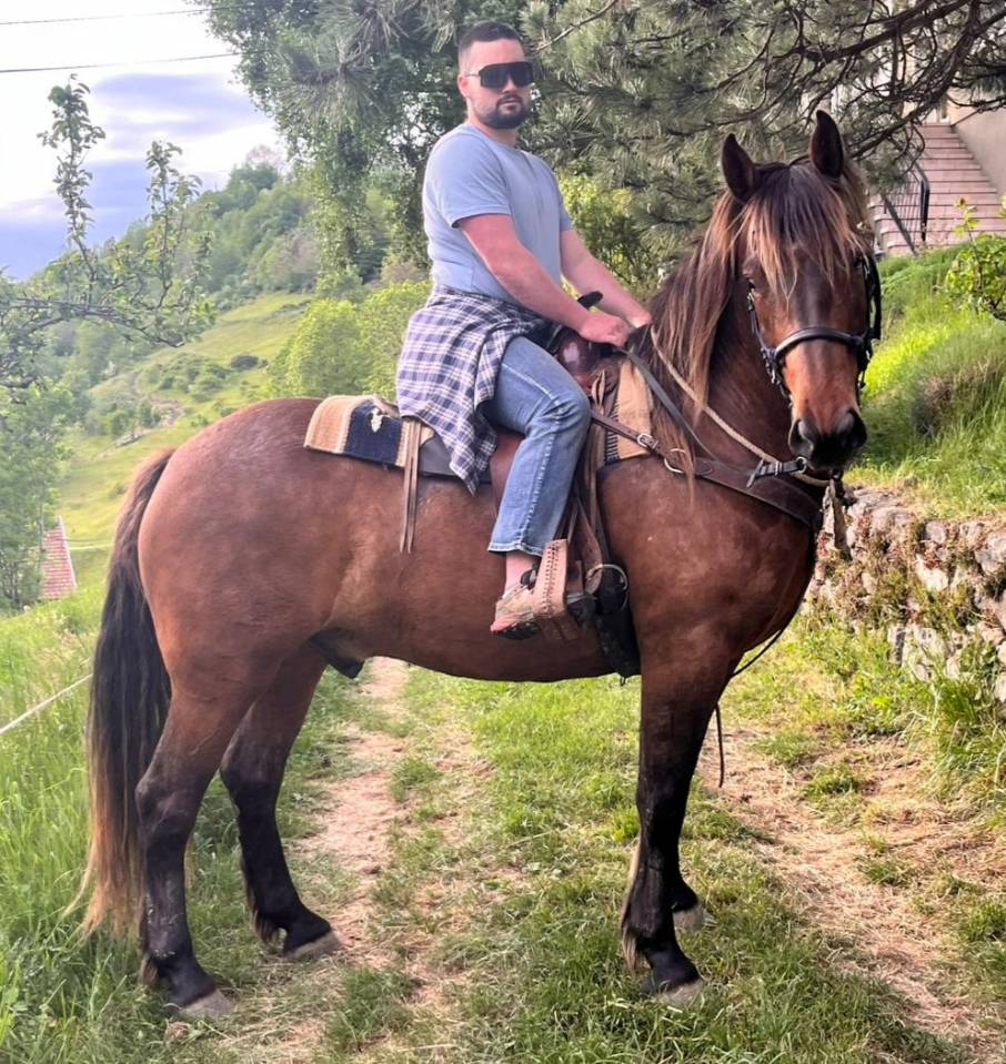 Cheval ONC 6 ANS