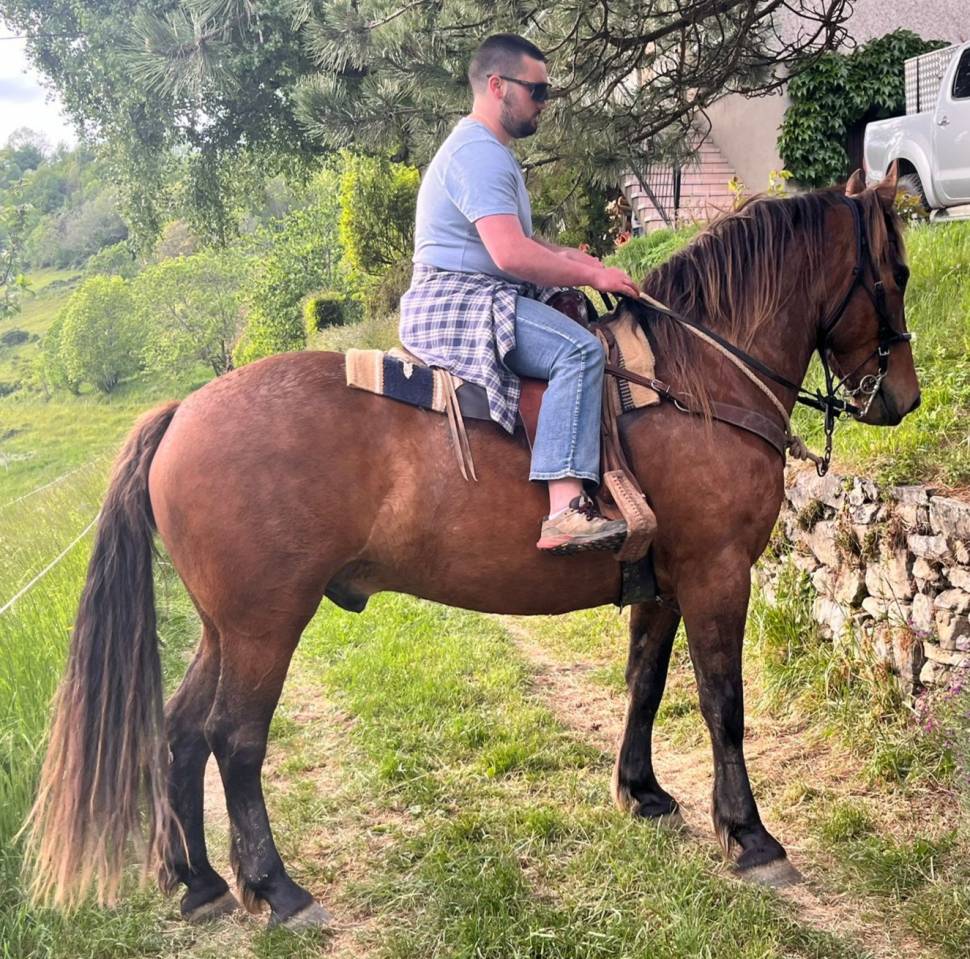 Cheval ONC 6 ANS