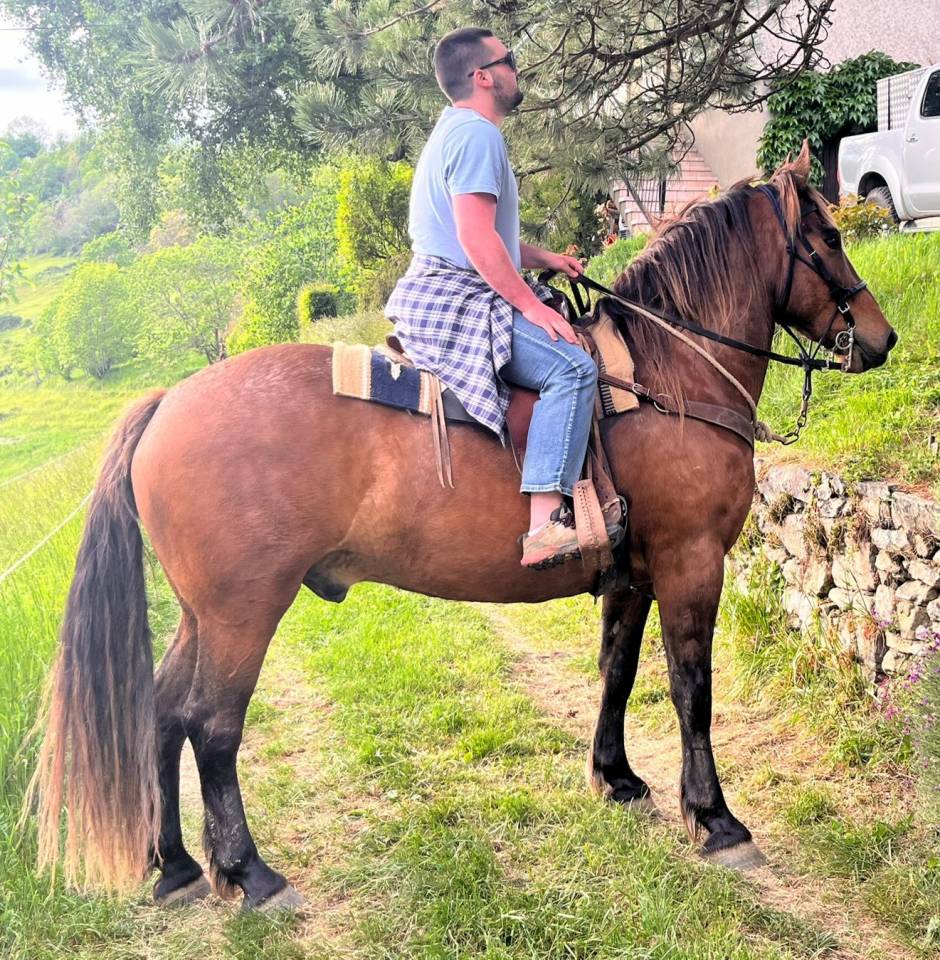 Cheval ONC 6 ANS
