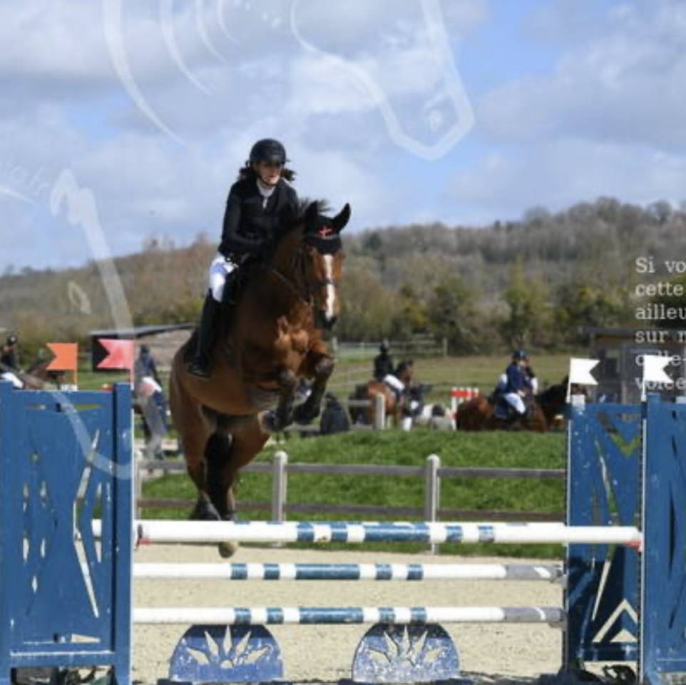Hongre 6 ans - SF - 162cm