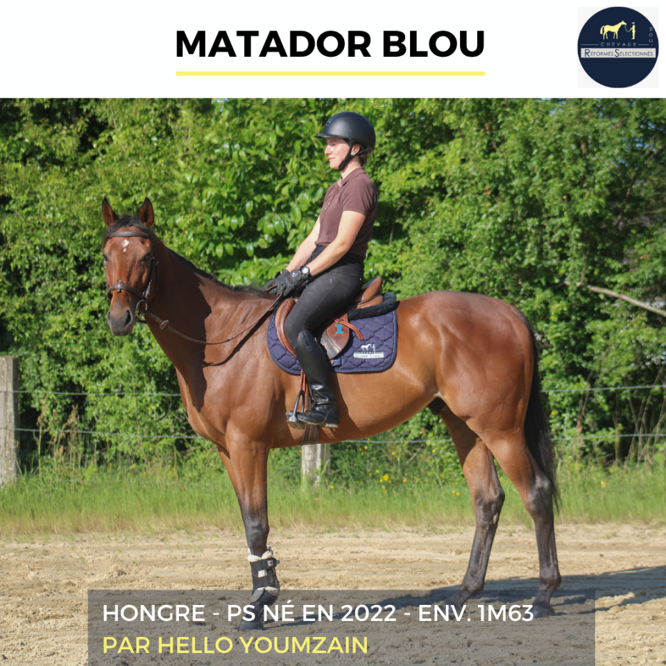 MATADOR BLOU - PS - 4 ANS