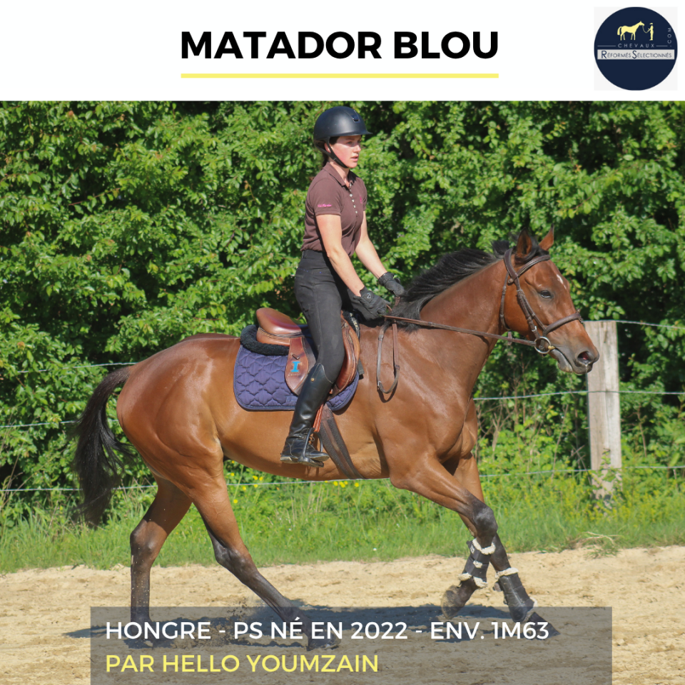MATADOR BLOU - PS - 4 ANS