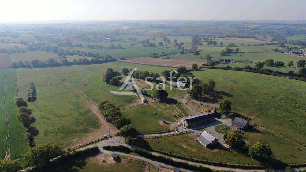 Haras d'&eacute;levage