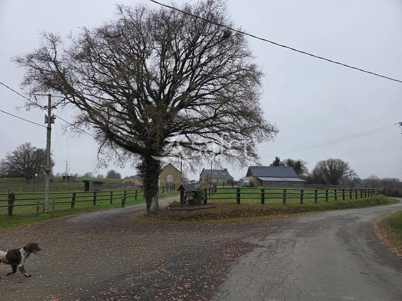 Haras d'&eacute;levage