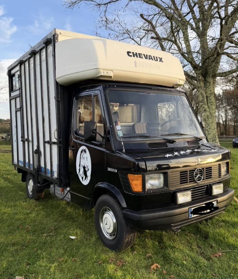 Camion vl chevaux 