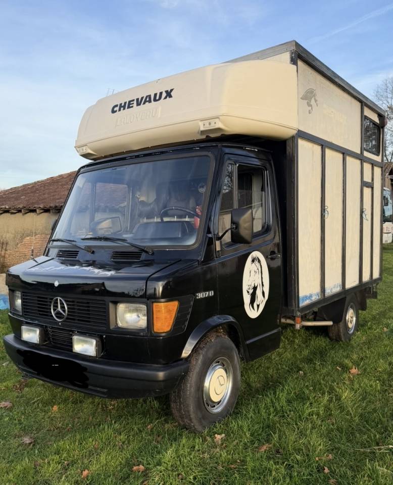 Camion vl chevaux 