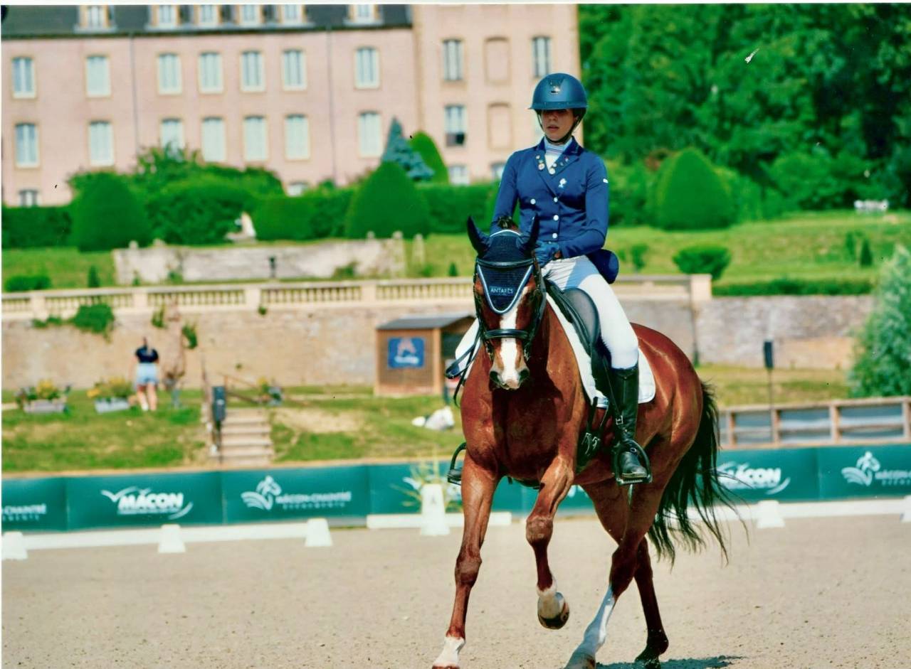 Jument - Hanovrienne - 11 ans - Dressage - France 