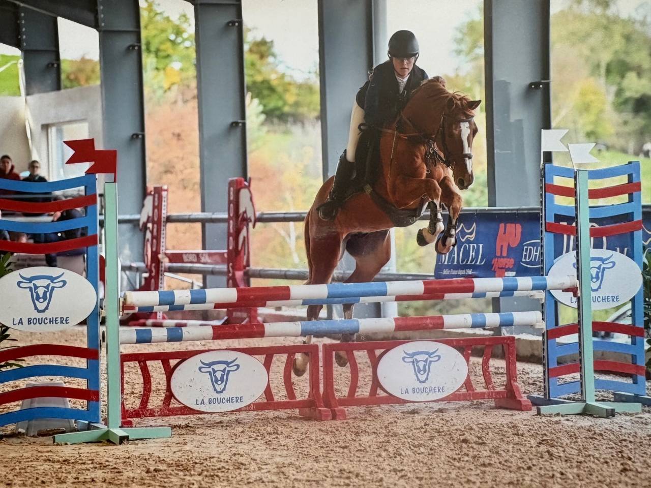 Vends Poney D 9 ans - CSO DRESSAGE CCE