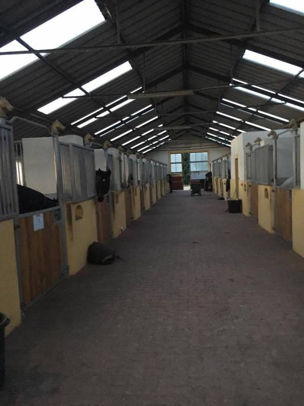 Pension box / Paddock - Installations haute qualit&eacute;