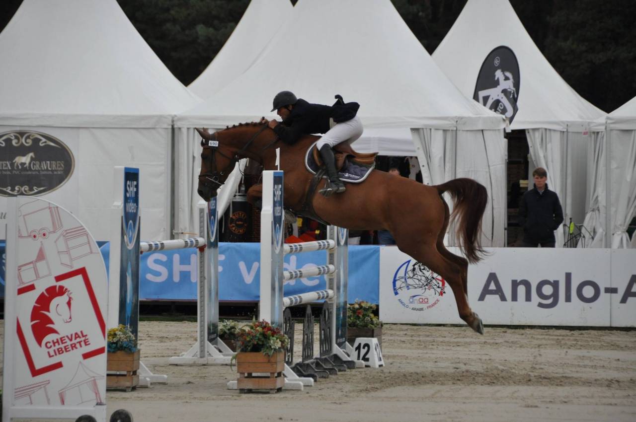 Poulini&egrave;re 14a SF (Arko III x Odyss&eacute;e Semilly)