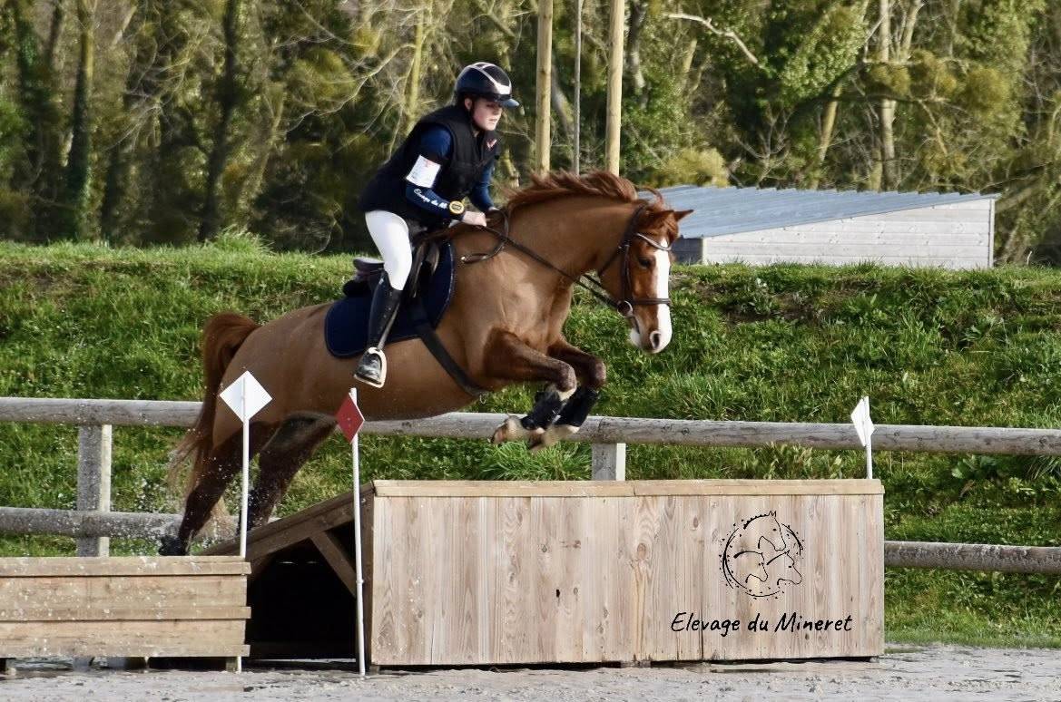 Ponette D