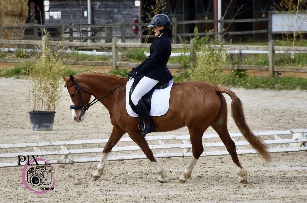 Ponette D