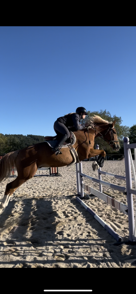 Cheval &agrave; vendre 