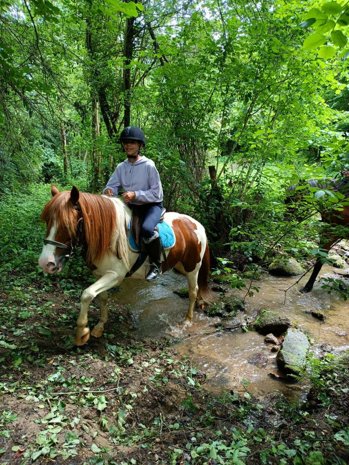 Adorable poney C , pie alezan, 16 ans, polyvalent