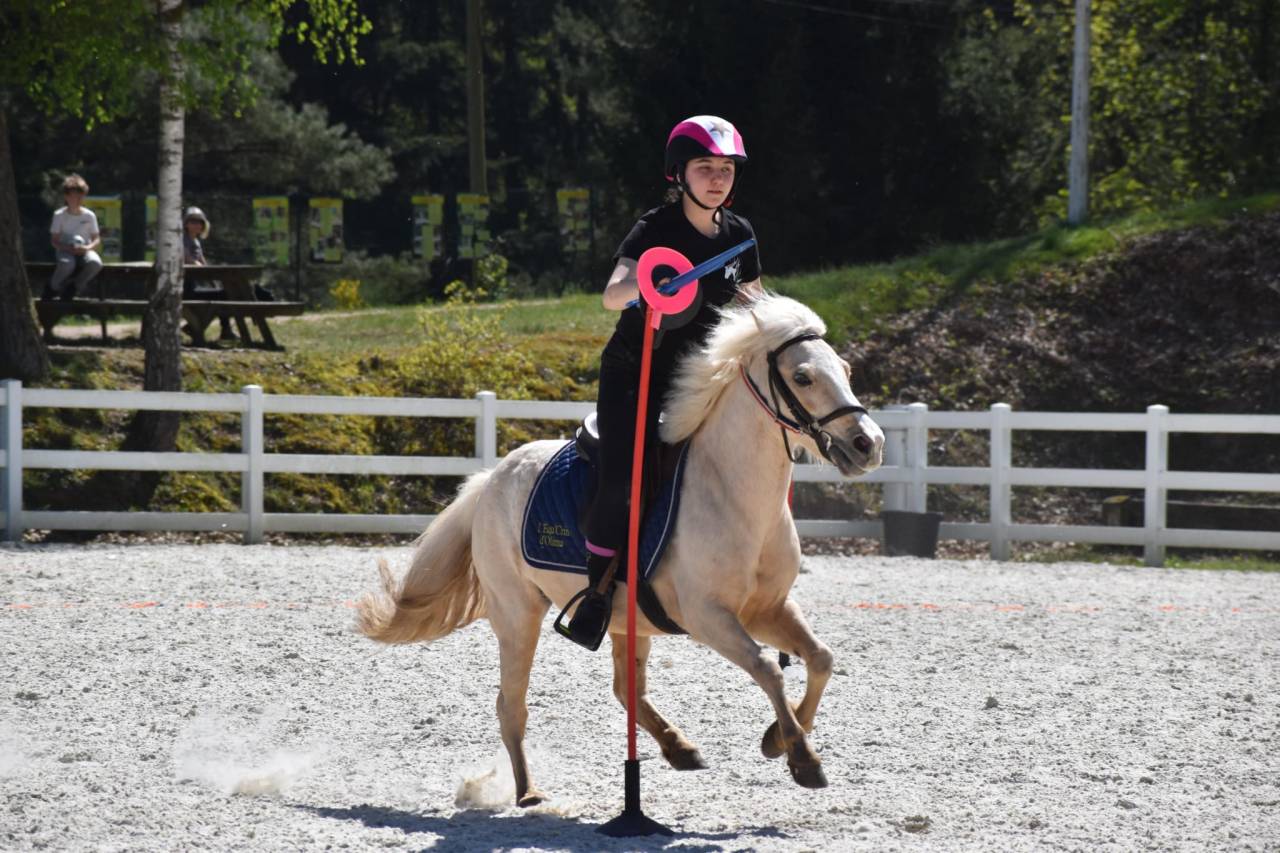 A Vendre PONEY welsch B palomino 11 ans