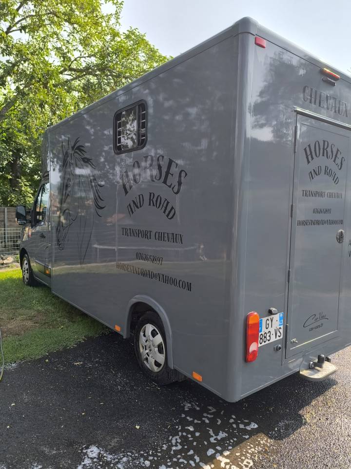 Camion chevaux 