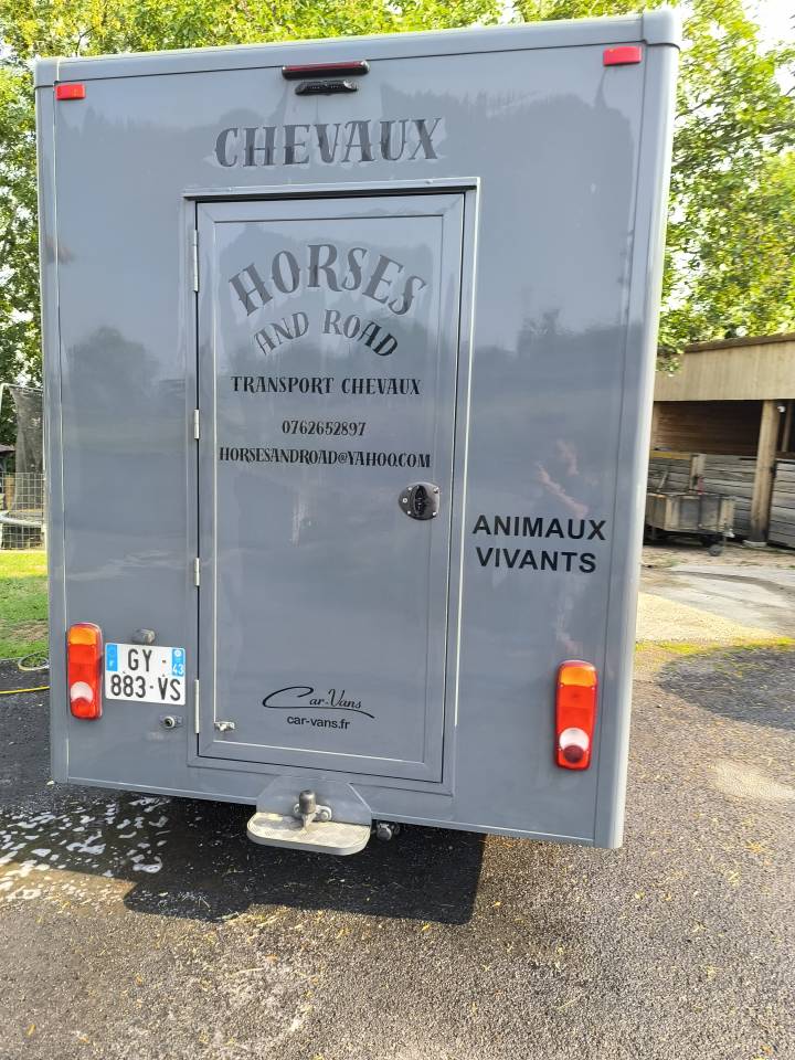 Camion chevaux 