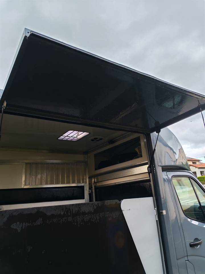 Camion chevaux 