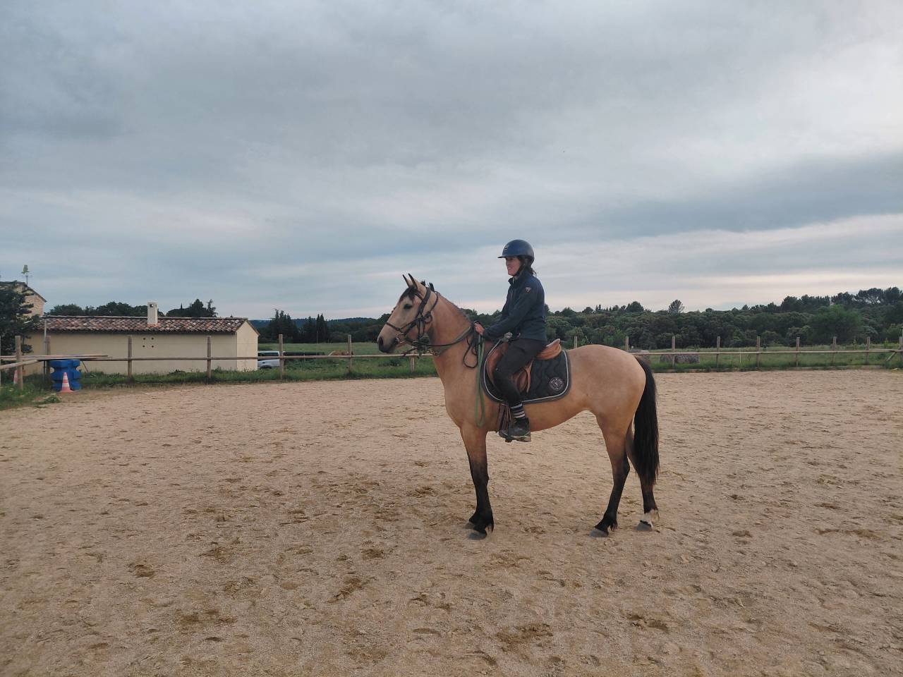 Jument Isabelle de 4 ans