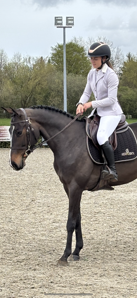 Top jument pour s&rsquo;&eacute;clater au concours!