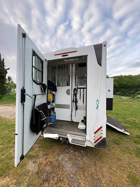 THEAULT PROTEO SWITCH 2 chevaux