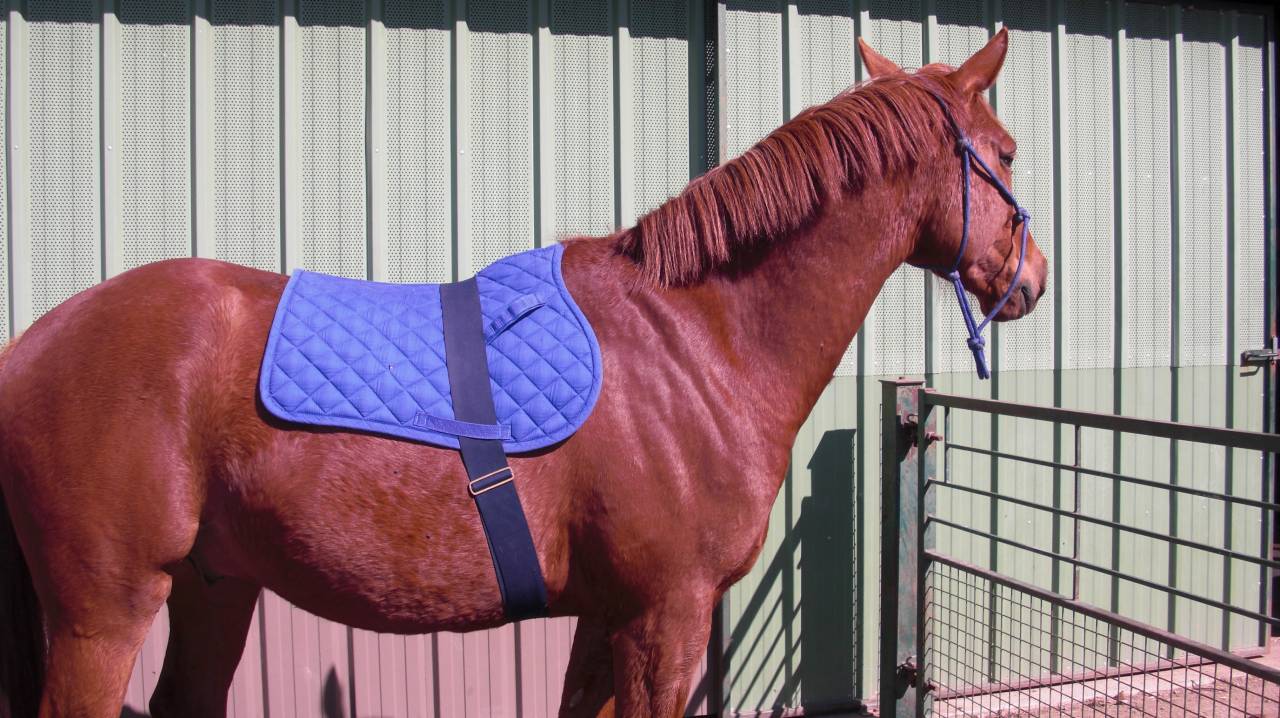 Beau Cheval AES